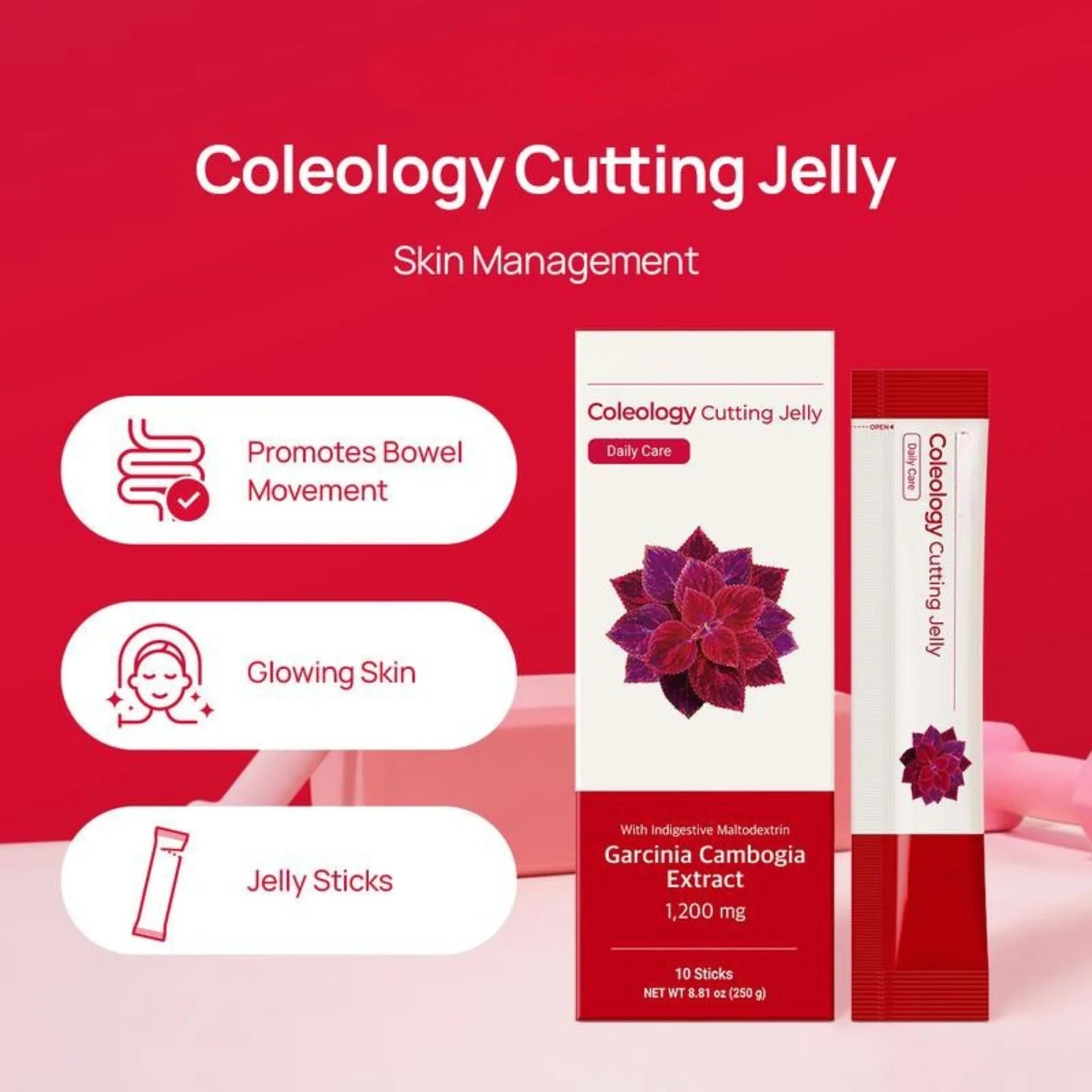 Korean Cutting Jelly Stick